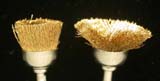 Soft-bristle Dremel Brass Brush Soft-bristle Dremel Brass Brush
